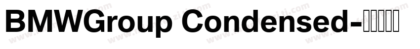 BMWGroup Condensed字体转换